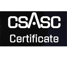 Auditor lider iso27001